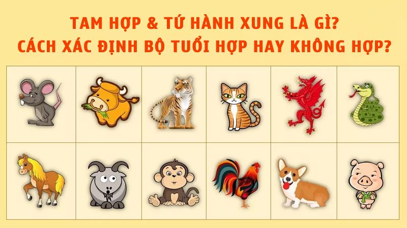 Tam hợp & Tứ hành xung là gì? Tuổi xung và hợp 12 con giáp