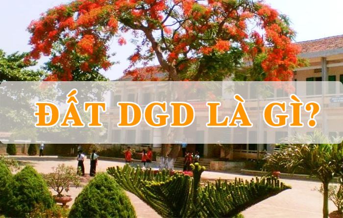 Đất DGD là gì? Quy định về sử dụng đất xây dựng cơ sở giáo dục và đào tạo